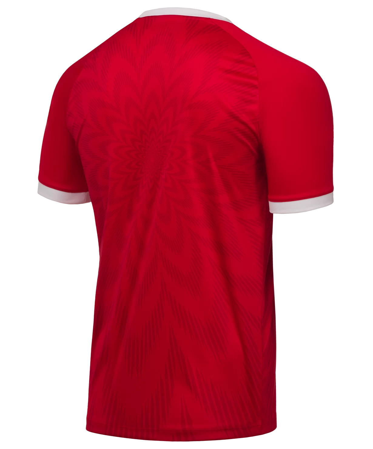Реальное фото Футболка игровая NATIONAL Home Jersey Replica, красный от магазина СпортСЕ