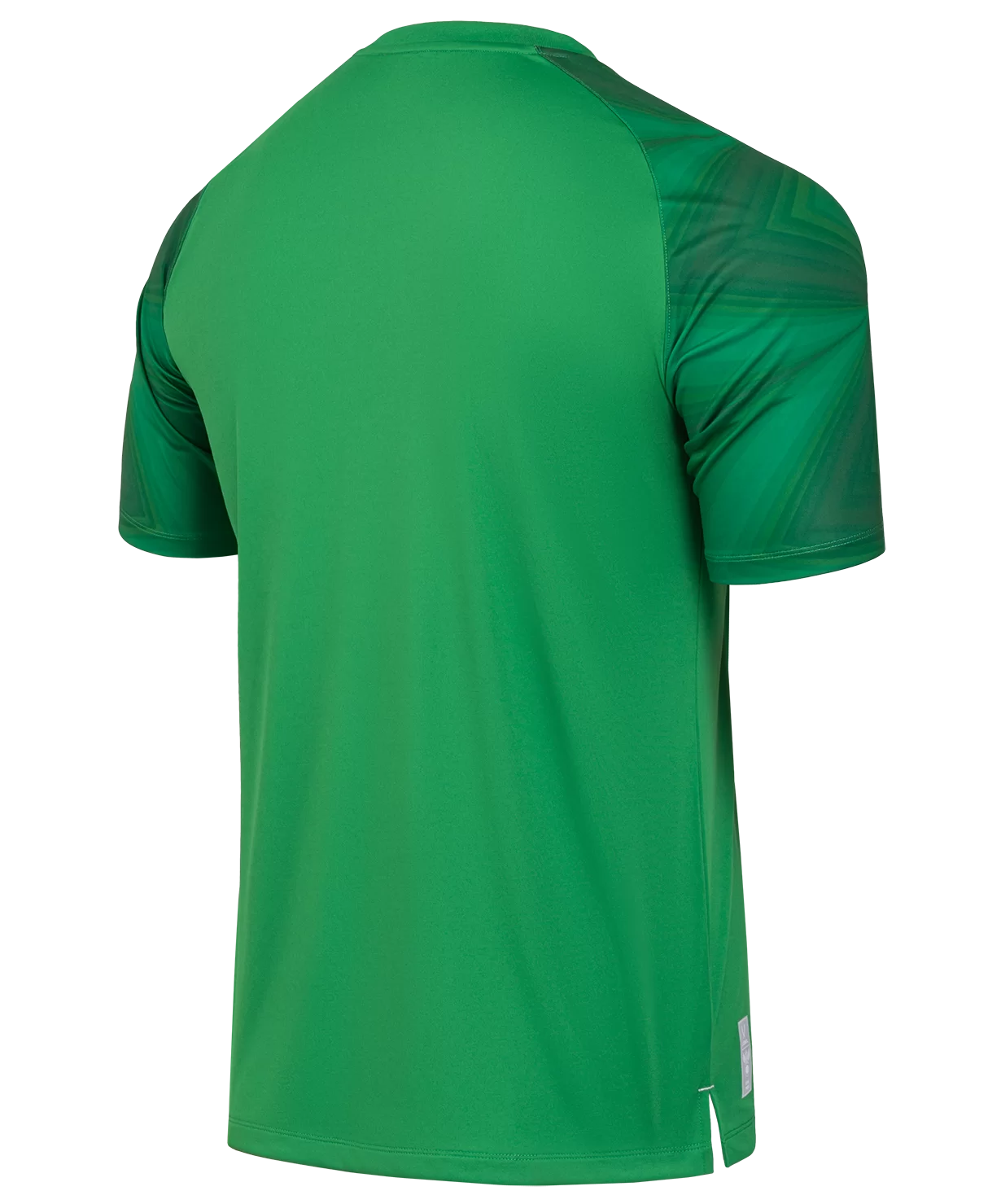  Футболка вратарская JÖGEL NATIONAL PerFormDRY GK Jersey, зеленый по низким ценам в Томске и Северске