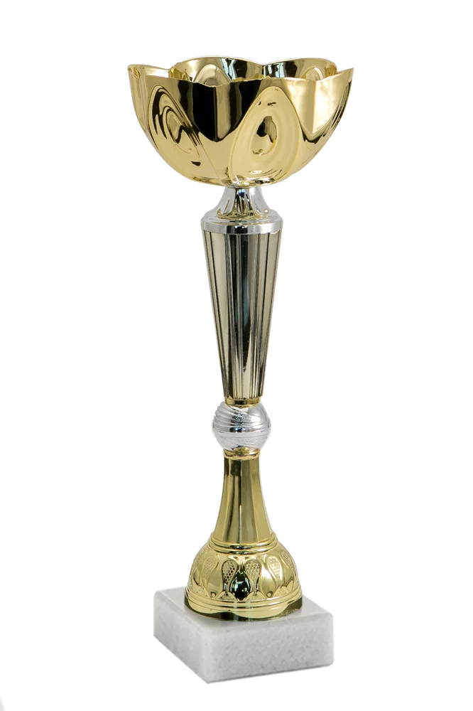 Кубок PR 114-290-100 h-29 см Кубок PR 114-290-100 h-29 см по низким ценам в Томске и Северске