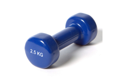 Гантель виниловая 2.5 кг York DB100 B31386 синий  10017872