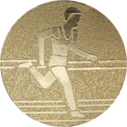 Вставка для медалей AM1-25-G