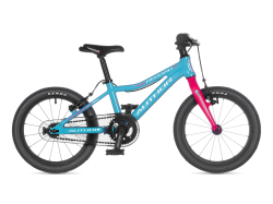 Велосипед детский AUTHOR Record 16 2021 Голубо-розовый