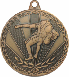 Медаль MV21 самбо