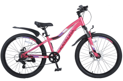 Велосипед TechTeam Katalina 24" розовый